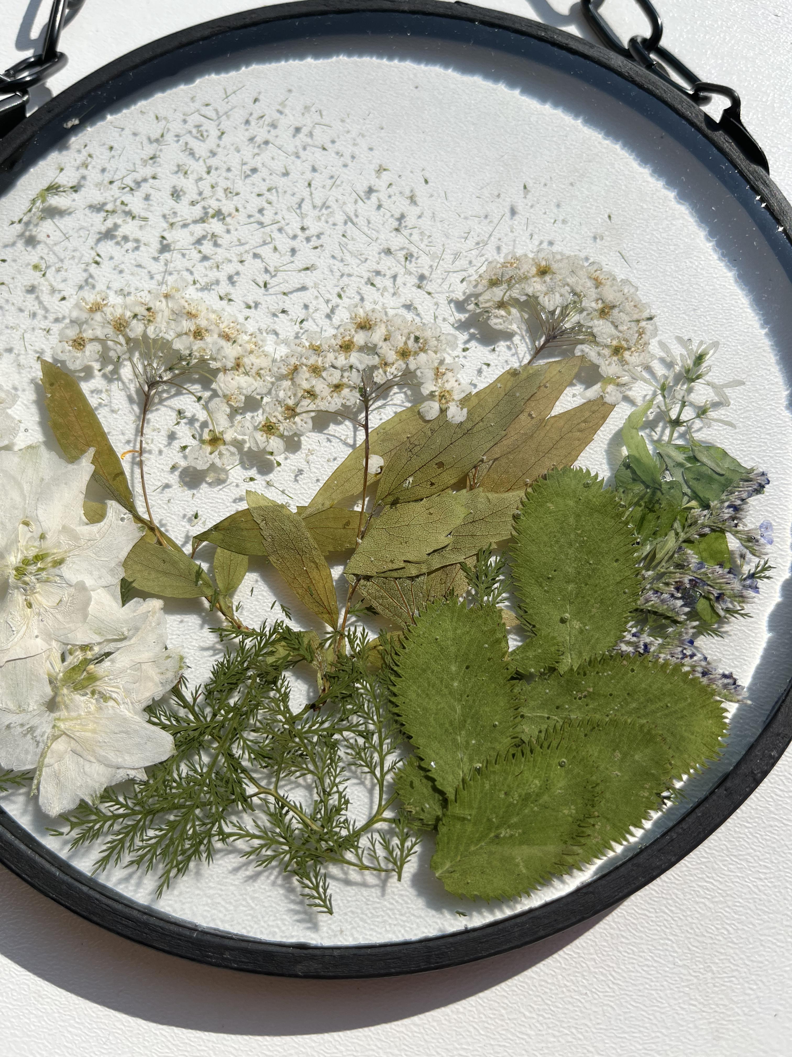 Northern White Floral Peppermint Wall Hanging Suncatcher - 15cm Resin Decor - ALETERNE FOREVER JOYFUL